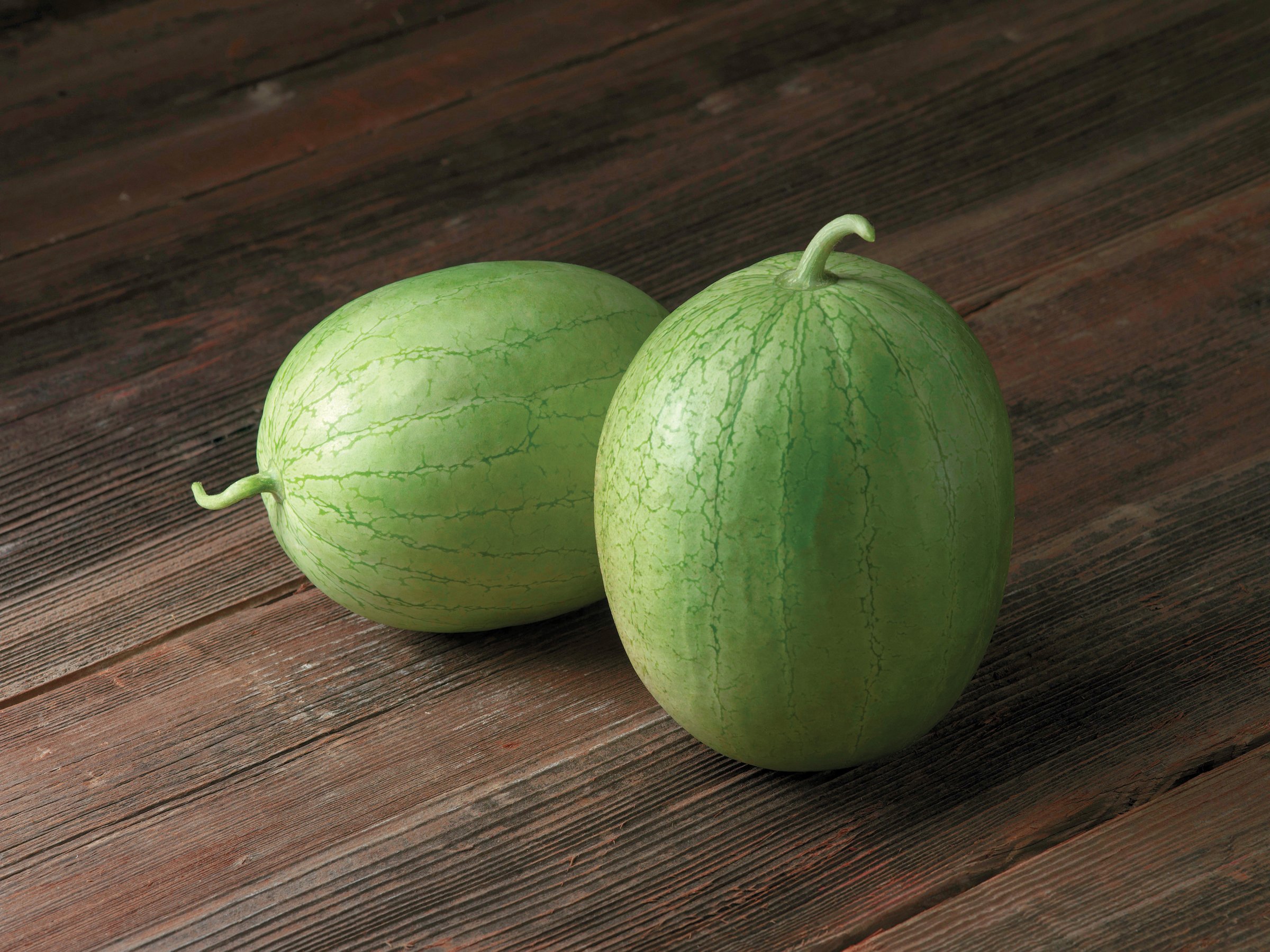 Ace, Watermelon Seeds Urban Farmer